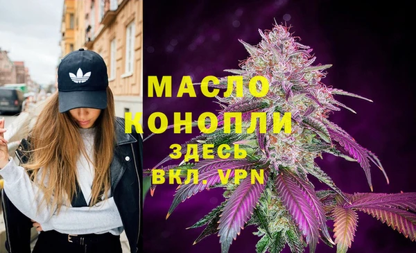 дмт Аркадак