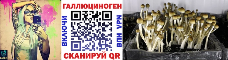 Галлюциногенные грибы Cubensis  где найти   Навашино 